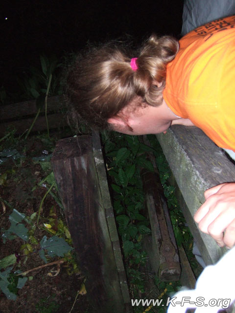 DSCF0074.jpg